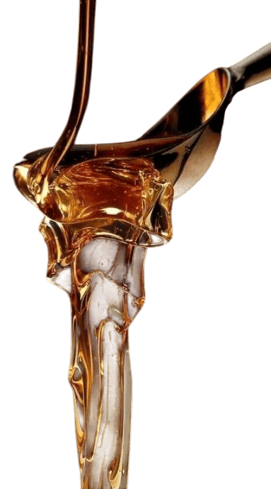 image categorie huile cbd